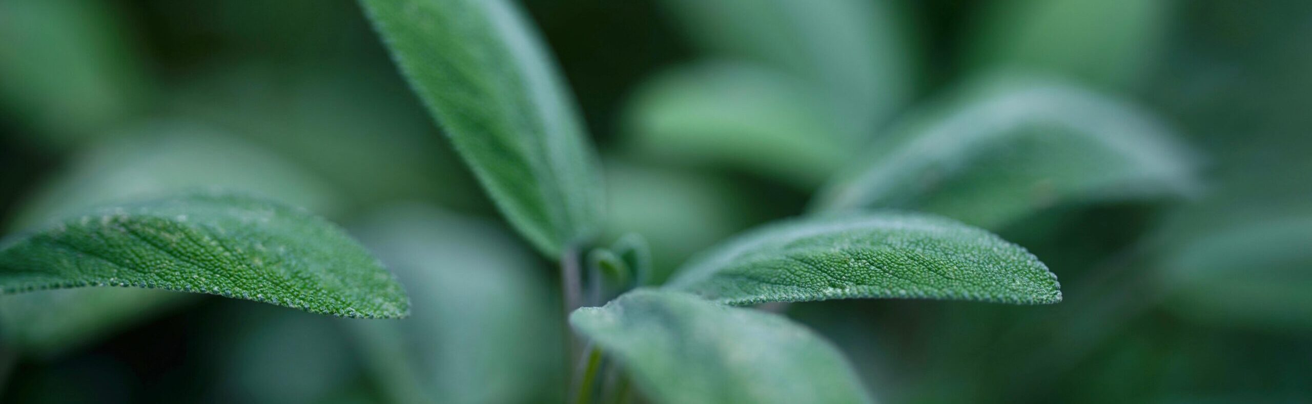 15 ĐIỀU GIÚP BẠN MẠNH MẼ ĐỨNG LÊN MÀ CỐ GẮNG TIẾP